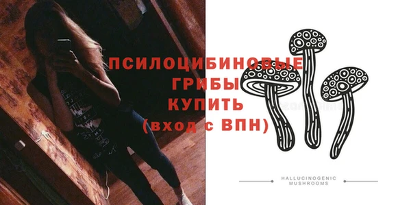 винт Алзамай