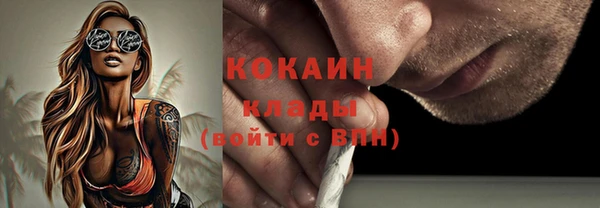 spice Алексин