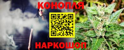 mdpv Лесосибирск