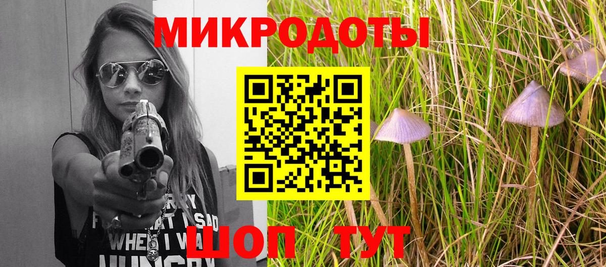 Псилоцибиновые грибы Psilocybine cubensis Канаш