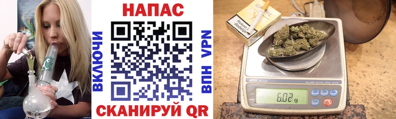 Бошки Шишки Amnesia  продажа наркотиков  Канаш 