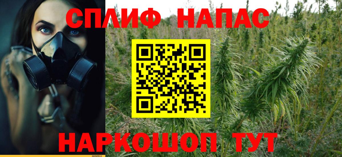 Каннабис Ganja Канаш